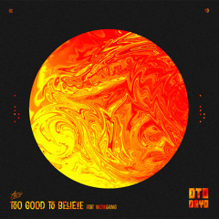 Av.i - Too Good To Believe feat. Wolfgang