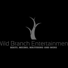 No Regrets- WildBranch Ft LochNess Ft StormyWeather Prod By Allrounda Beats Official Audio