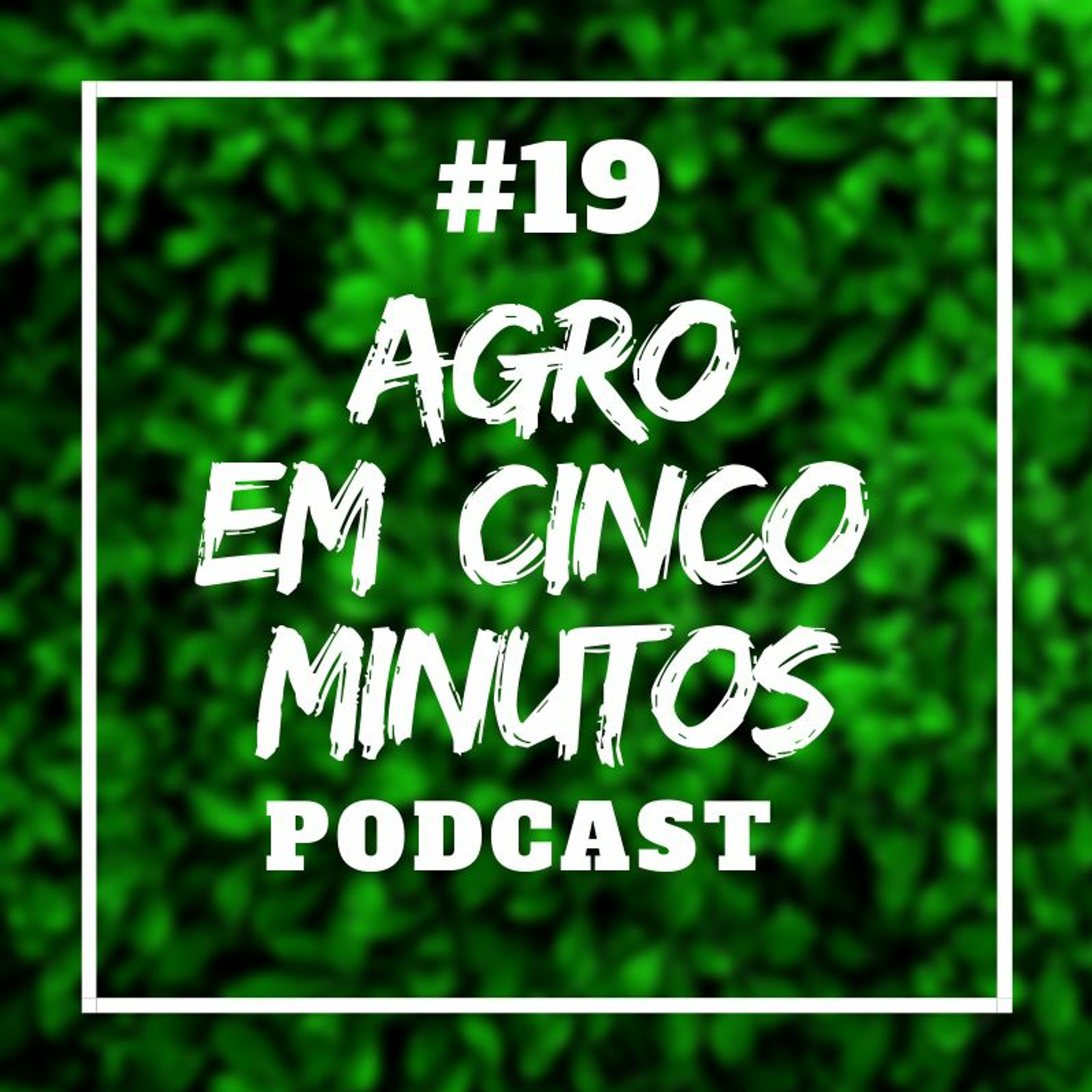 Agro em Cinco Minutos