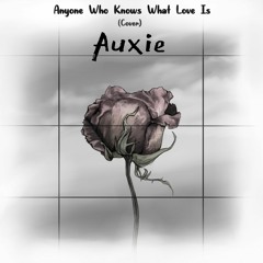 Anyone Who Knows What Love Is (Auxie Cover)