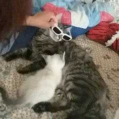 SONGSPRODUCEDBYMYFRIENDSTHATYOUWILLLIKE