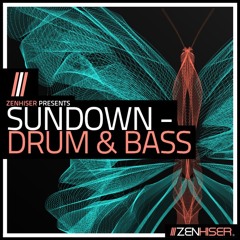 Sundown - Drum & Bass by Zenhiser ::: Overwhelming D&B Charm