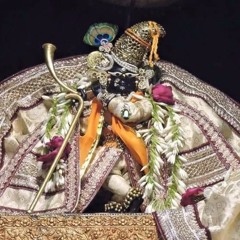Radha Raman Shyan Arati