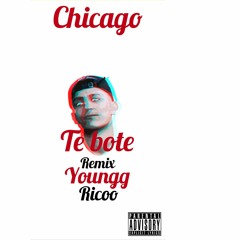 Ricoo773 X Te Bote Remix (Official Audio)