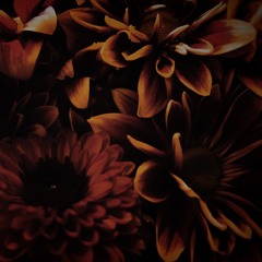 Clumsy (Fergie Cover)