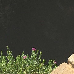 Nothing To Say [prod. tcarfs]