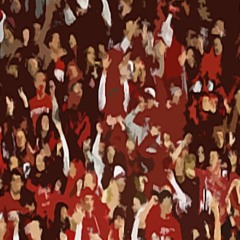 Where Are My Animals?