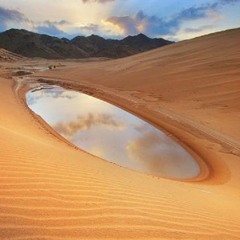 متى على الله ينقلون القرانيس ــ الشاعر مشعل الحبيني