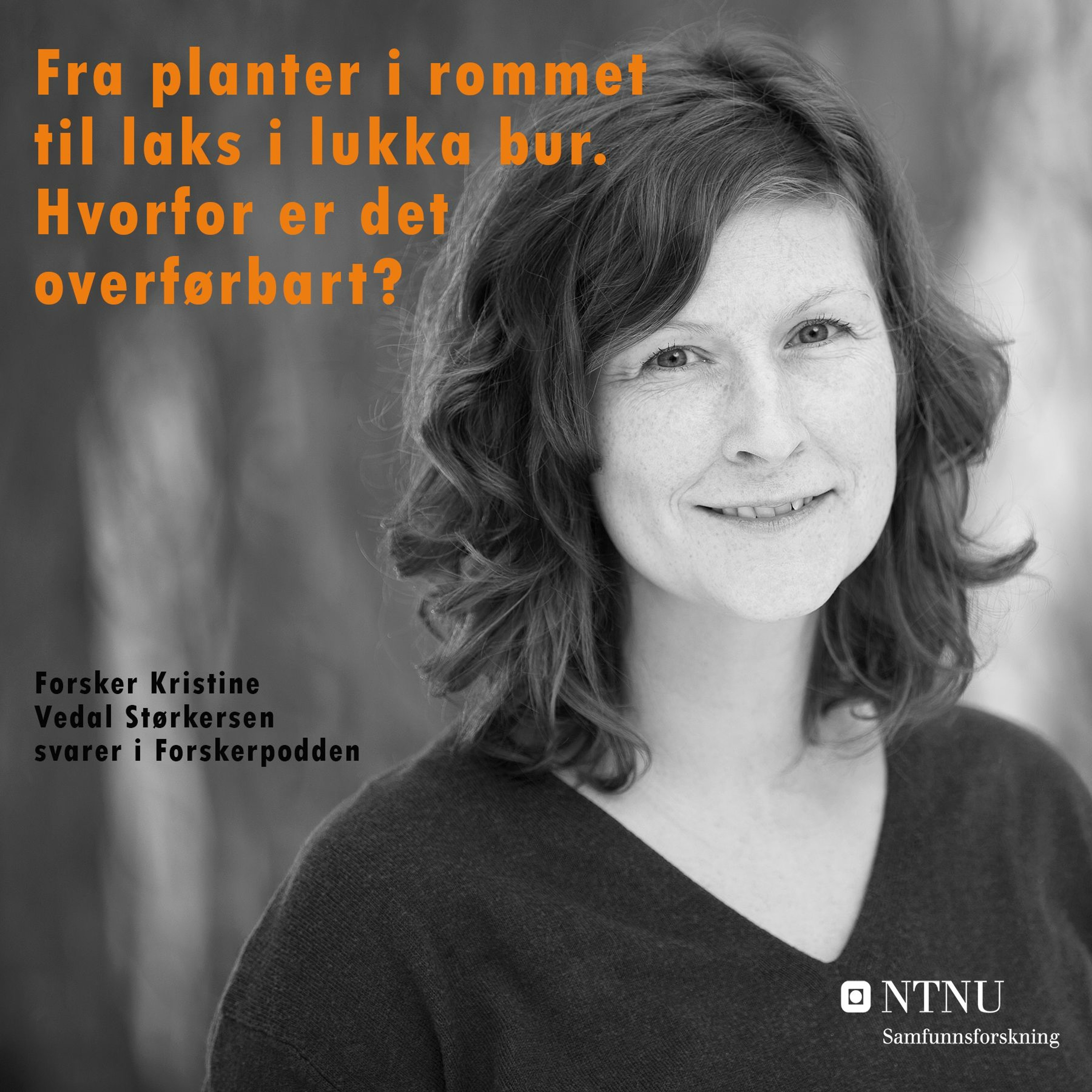 Forskerpodden