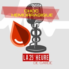 S01E06 - Choc hemorragique. Dr Emmanuelle Dolla - La 25e Heure de Garde