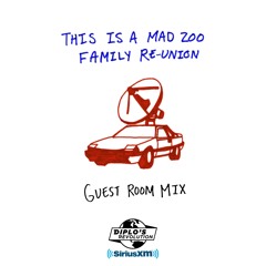 THIS IS A MAD ZOO FAMILY GUEST ROOM MIX