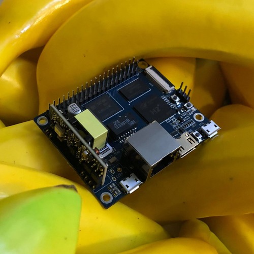 LT Podcast 068 // Shedbug