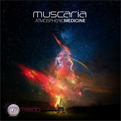 Muscaria & Spectralis - Hutmaker ( Atmospheric Medicine Ep 2013 )