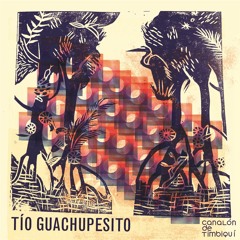 Canalón de Timbiquí - Tio Guachupesito