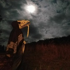 Samhain (Witches New Year)