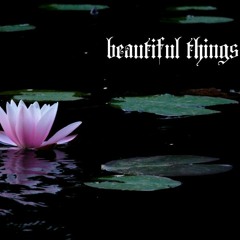 beautiful things