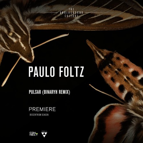 PREMIERE: Paulo Foltz - Pulsar (Binaryh Remix) [Prisma Techno]
