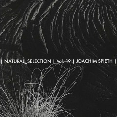 | JOACHIM SPIETH | Natural_Selection #19 |