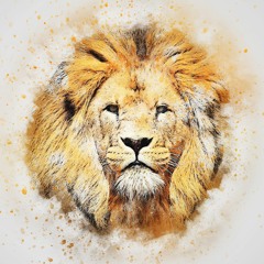 FARFADET - Le réveil du lion (Psygressive - Groovy)