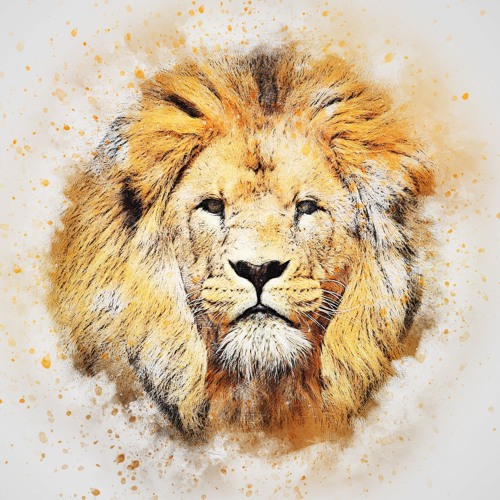 FARFADET - Le réveil du lion (Psygressive - Groovy)