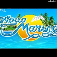 105.Agua Marina - Basta ya mi amor (Bryan Walls Edit Private)