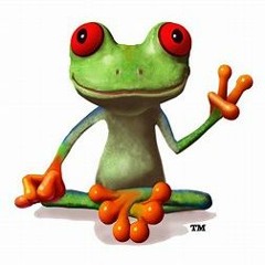PEACE FROG - COVER