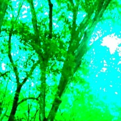 lonely (prod. excdus & riclaflare)