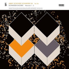 A S S (Jochen Arbeit / Günter Schickert / SchneiderTM) - Tse Tse