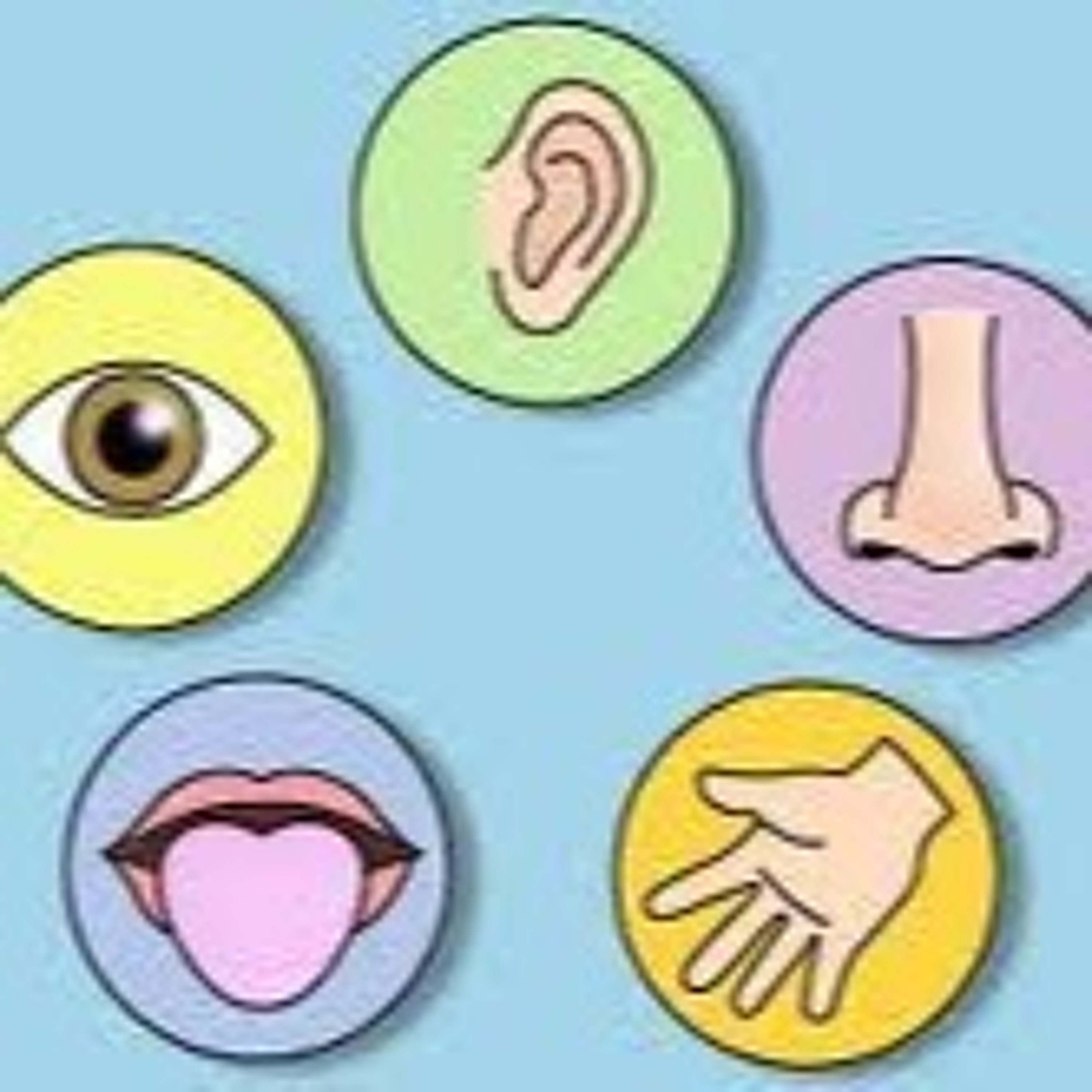 Five Senses Meditation Practice for Kiddos with The Adventures of Super Stretch