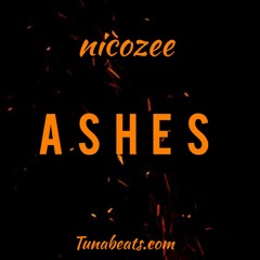 Nicozee - Ashes (Prod. Tunabeatz)