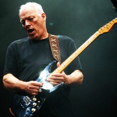 David Gilmour - Comfortably Numb (RAH 2006 - Extended Solo)