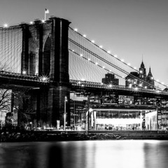 OGxFDO Jay BOSTON TO NEW YORK