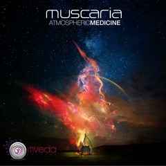 Muscaria - Dark kind ( Atmospheric Medicine Ep 2013 )