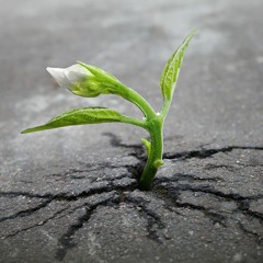 Rhythm Of Life (Prod. Dims CW)