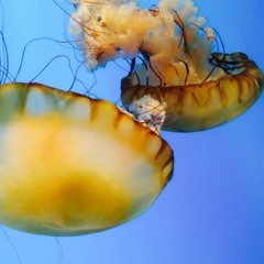 Twenty One Is Half [Prod. by DJM]