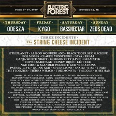 Electric Forest 2019