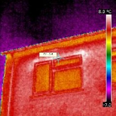 LOST (2)APES - PROD. 2 Piece