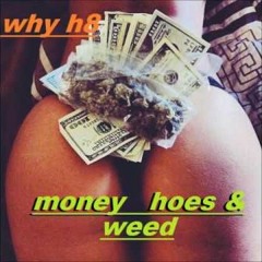 Money and Hoes - RetroJunkies