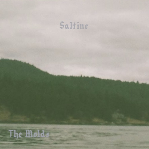 THE MOLDS - SALTINE - 03 APLHA