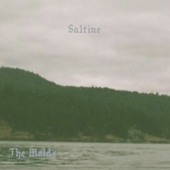 THE MOLDS - SALTINE - 01 FINNS