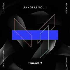 Beico & MT93 - Strange Vision