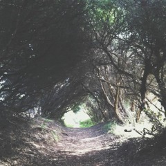 Maps (2014) - ABC Radio National: Sound Proof