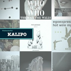 Plattenkoffer: Kalipo