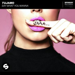 Tujamo - Say What You Wanna (Matt_D' Remix)