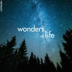 Journey Through Time - Tom Howe, David Jones