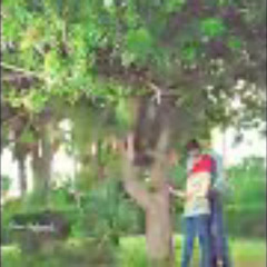 اللى جمعنا حب له معنى _ اجمل اغنية حب _