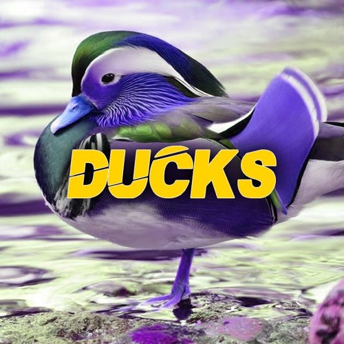 DUCKS (FREE DL IN DESCRIPTION)
