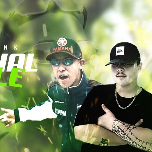 MEGA FUNK ESPECIAL MC Alê (ANDERSON ALVES)