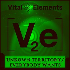 [V2E]014 - Unknown Territory / Everybody Wants