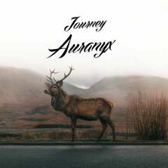 Auranyx - Journey